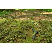 Scenic elements Model Scene F601