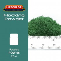 Powders Lifecolor POW06