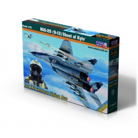 Plastic kit planes D110