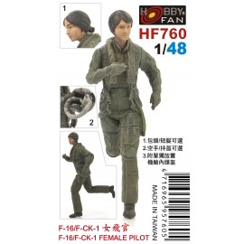 Resin Kit figures HF760