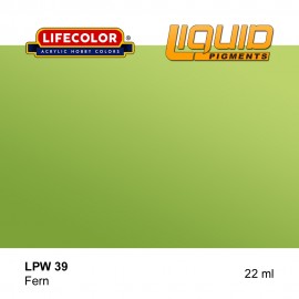 Liquid pigments Lifecolor LPW39