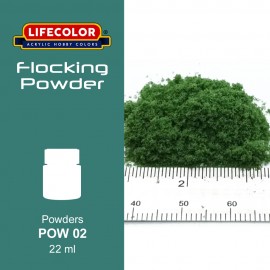 Powders Lifecolor POW02