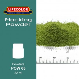 Powders Lifecolor POW05