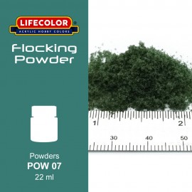 Powders Lifecolor POW07