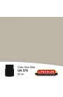 Acrylic colours Lifecolor UA579