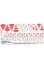 Paper flags Tauro Model TU700A06