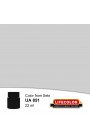 Acrylic colours Lifecolor UA851