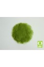 Scenic elements Model Scene 006-01