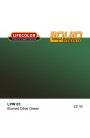 Liquid pigments Lifecolor LPW03
