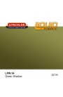 Liquid pigments Lifecolor LPW34